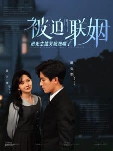 被迫联姻谢先生他笑成翘嘴了 - 女频恋爱 (2025) 海报