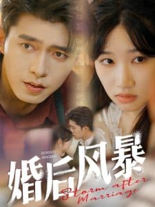 婚后风暴 - 现代都市 (2025) 海报