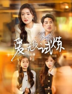 爱无须试炼 - 女频恋爱 (2025) 海报
