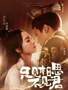 只见相思不见君 - 古装仙侠 (2025) 海报