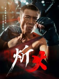 炘火 - 反转爽剧 (2025) 海报