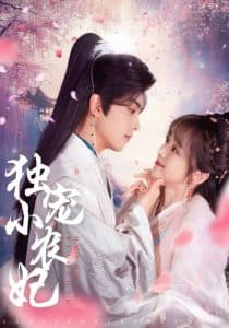 独宠小农妃 - 古装仙侠 (2025) 海报