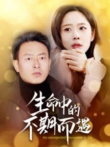 生命中的不期而遇 - 现代都市 (2025) 海报