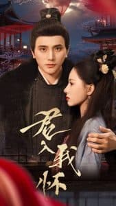 君入我怀 - 古装仙侠 (2025) 海报