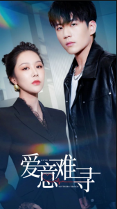 爱意难寻 - 女频恋爱 (2025) 海报