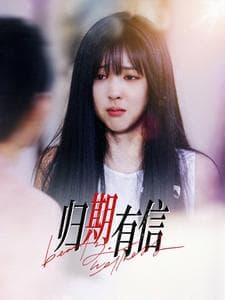 归期有信 - 现代都市 (2025) 海报