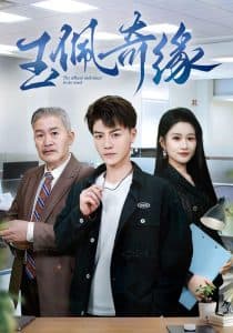 玉佩奇缘 - 反转爽剧 (2025) 海报