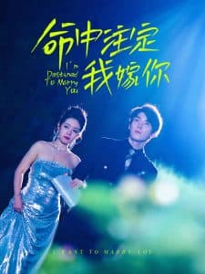 命中注定我嫁你 - 女频恋爱 (2025) 海报
