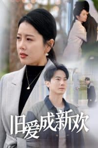 旧爱成新欢 - 现代都市 (2025) 海报