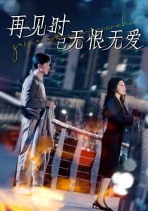 再见时已无恨无爱 - 现代都市 (2025) 海报