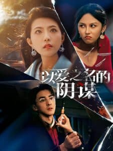 以爱之名的阴谋 - 现代都市 (2025) 海报