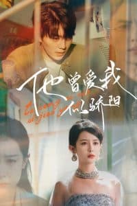 他曾爱我似骄阳 - 现代都市 (2025) 海报