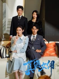 真假女佣 - 现代都市 (2025) 海报