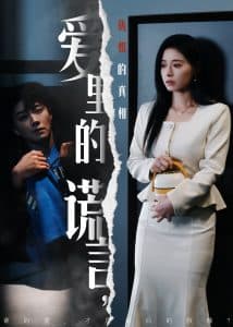 爱里的谎言，仇恨的真相 - 现代都市 (2025) 海报