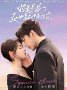 报告秦总，夫人她是古代老祖宗 - 女频恋爱 (2025) 海报