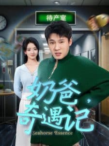 奶爸奇遇记 - 现代都市 (2025) 海报