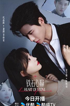 铁石心肠2025 - 国产剧 (2025) 海报