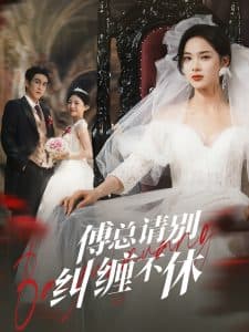 傅总请别纠缠不休 - 女频恋爱 (2025) 海报