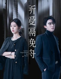 所爱隔晚舟 - 女频恋爱 (2025) 海报