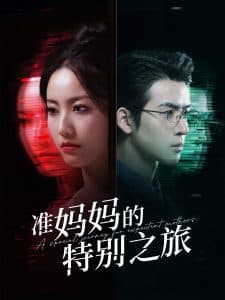 准妈妈的特别之旅 - 现代都市 (2025) 海报