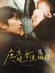 庄生晓梦迷蝴蝶 - 女频恋爱 (2025) 海报