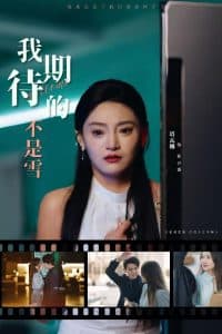 我期待的不是雪 - 现代都市 (2025) 海报