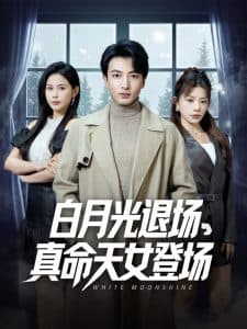 白月光退场真命天女登场 - 现代都市 (2025) 海报