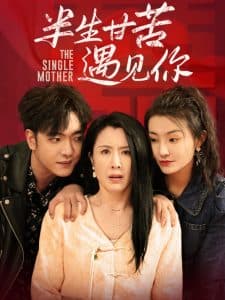 半生甘苦遇见你 - 女频恋爱 (2025) 海报