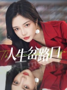 人生岔路口 - 现代都市 (2025) 海报