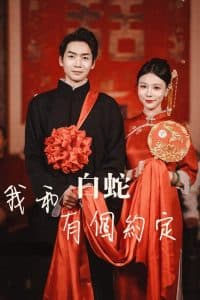 我和白蛇有个约定 - 女频恋爱 (2025) 海报