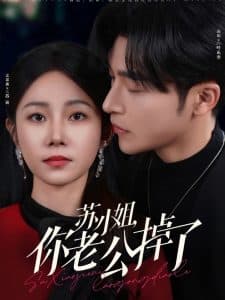 苏小姐你老公掉了 - 女频恋爱 (2025) 海报