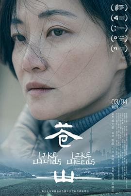 苍山 - 剧情片 (2025) 海报