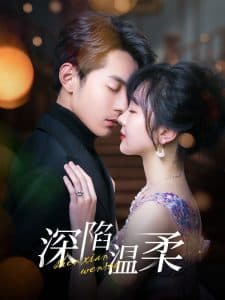 深陷温柔 - 女频恋爱 (2025) 海报