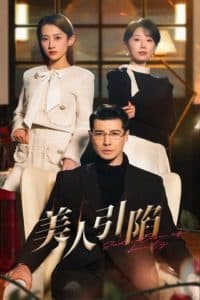 美人引陷 - 女频恋爱 (2025) 海报