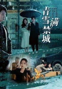 青雪满禁城 - 女频恋爱 (2025) 海报