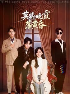 莫将晚霞落黄昏 - 女频恋爱 (2025) 海报