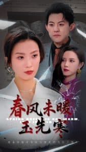 春风未暖玉先寒 - 现代都市 (2025) 海报