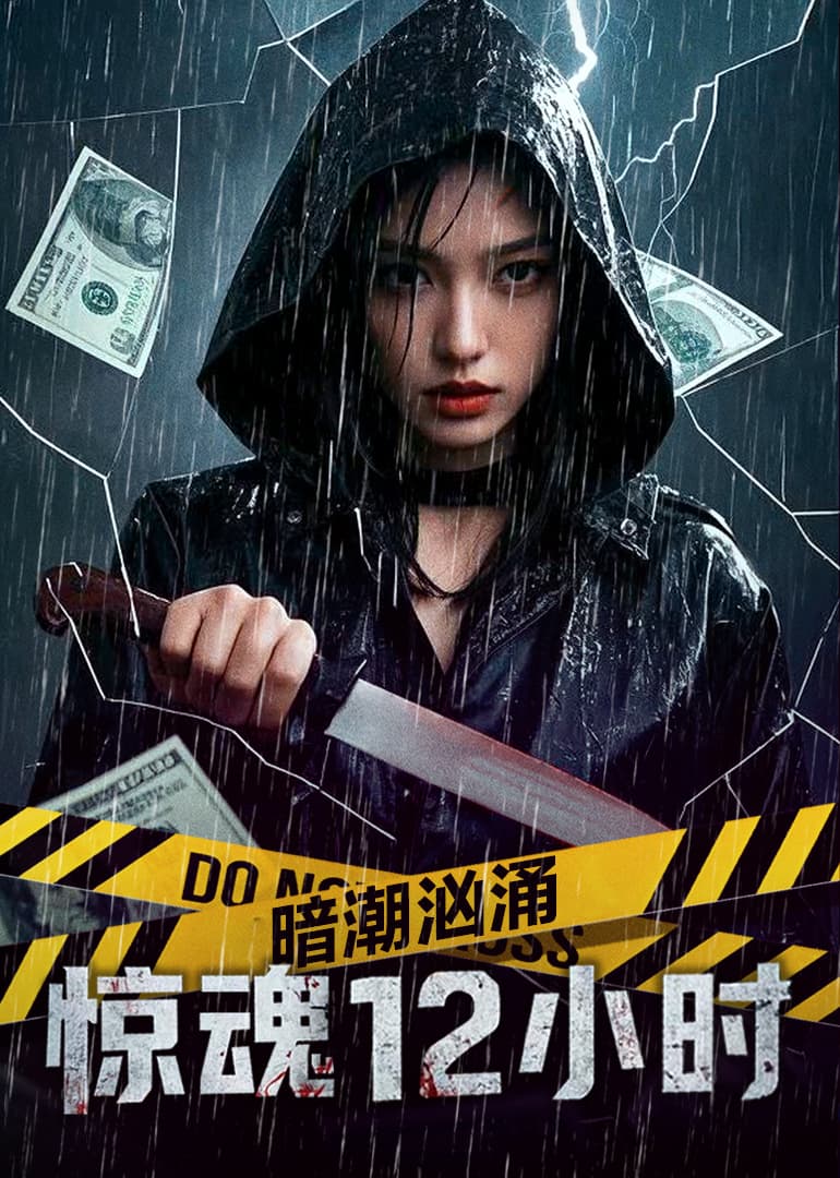 暗潮汹涌之惊魂12小时 - 剧情片 (2025) 海报
