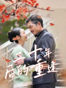 二十年后的重逢 - 现代都市 (2025) 海报