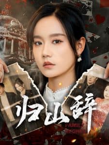 归山辞 - 现代都市 (2025) 海报