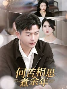 何苦相思煮余年 - 女频恋爱 (2025) 海报