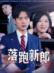 落跑新郎 - 女频恋爱 (2025) 海报