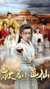 救驾小医仙 - 古装仙侠 (2025) 海报