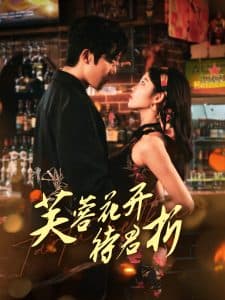 芙蓉花开待君折 - 女频恋爱 (2025) 海报