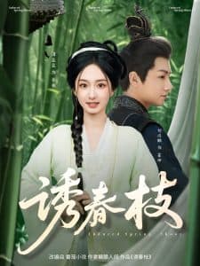 诱春枝 - 古装仙侠 (2025) 海报