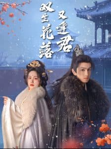 双生花落又逢君 - 古装仙侠 (2025) 海报