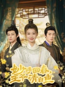 妙手回春王爷请自重 - 古装仙侠 (2025) 海报