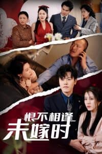 恨不相逢未嫁时30集 - 现代都市 (2025) 海报