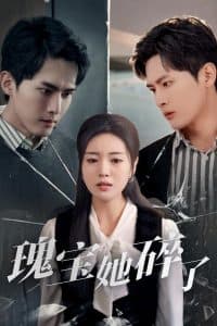 瑰宝她碎了 - 现代都市 (2025) 海报