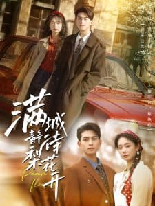 满城静待梨花开 - 现代都市 (2025) 海报